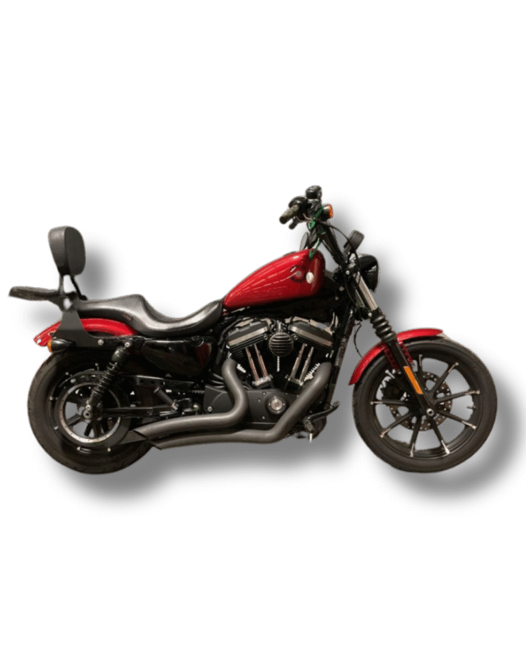 Harley Davidson XL 883N Sporster (3)